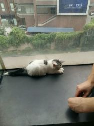 -M Hair造型