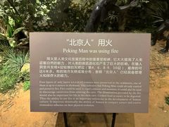-北京周口店北京人遗址博物馆