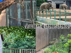-红山森林动物园