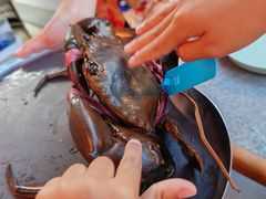 -Ministry of Crab•MOC(交子大道店)