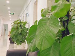 -众鑫医疗小白牙口腔(土桥店)