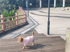 -大渡口区义渡公园