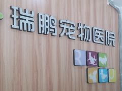 -瑞鹏·疫苗·绝育·宠物医院(广九店)