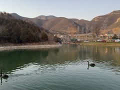 -静之湖湖畔餐厅