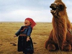 -七宝中学游泳馆