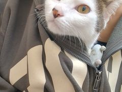 -安安宠医·臻爱宠物医院·宠保定点(营门口路分院)