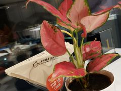 -江仙雅居(中航国际店)