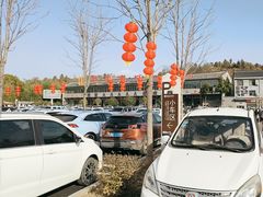 -西峡恐龙遗迹园