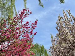 -元大都城垣遗址公园