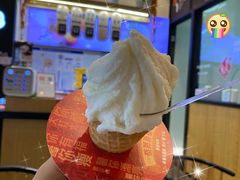 桃花运冰淇淋-野人先生现做冰淇淋(北京环宇荟店)