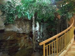 -阿斯牛牛·凉山菜(新会展店)