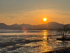 -渔享海尚鲜酒楼(广海渔人码头店)