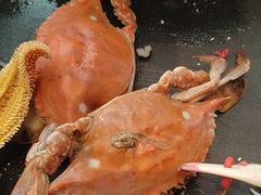 -乔哥铭洋海鲜自助(皇城恒隆广场店)