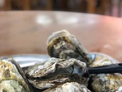 -蚝得喜海鲜(东城店)