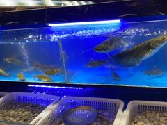 -布多斯烤肉火锅自助(江腾广场店)