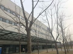 -首都医科大学附属北京天坛医院