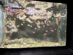 -苏州海洋馆