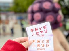 -嘉定紫藤园