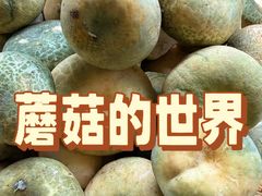 -三锅莊·牦牛肉火锅·香格里拉特色藏餐宴请餐厅(昆明创始店)