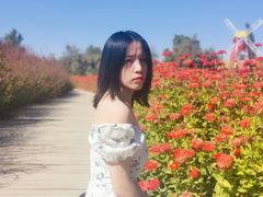 -金塔沙漠胡杨林景区