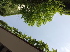 全季酒店-全季酒店（苏州观前街平江路店）(原临顿路地铁站店)