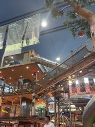 -卡通尼·Safari非洲探索乐园·生日会(金桥国际商业广场店)