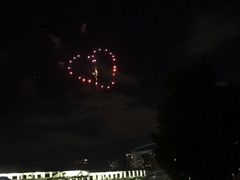 -台场海滨公园船码头
