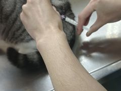 -动物缘宠物医院·骨科·猫科(西二环店)