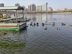 -莲花池公园