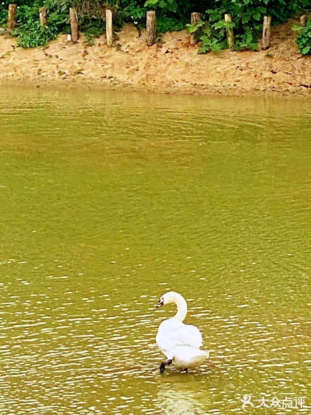 珠海的公園是珠海一道靚麗的風景線,在哪裡都可以看到這 - 吃喝玩樂精