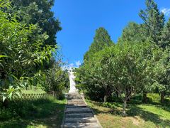 -北京西山国家森林公园