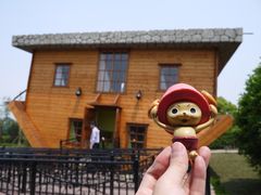 -金山农民画村-枫泾波兰倒置屋