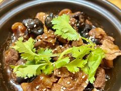 -兴隆槟榔园休闲农庄