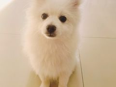 -美联众合24小时·皮肤科·外科·全科诊疗中心(华苑分院)