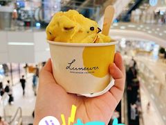 黑巧克力冰淇淋-LUNEURS月乐诗 冰淇淋咖啡(环贸店)
