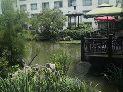 -苏苑饭店-中餐厅(长桥地区店)