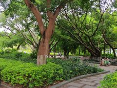 -厦门大学(思明校区)