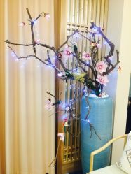 -一本X目奈子日式单根美睫专业店