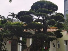 -荔枝公园(福田区)
