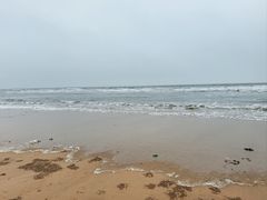 -日照海滨国家森林公园