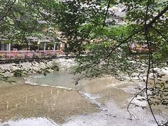 -苗湘食府(十年店)