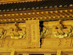 -武汉大学-樱园
