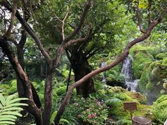 -Chom Cafe and Restaurant