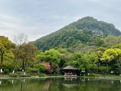 -八卦田遗址公园