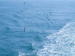 -海驴岛(荣成市)