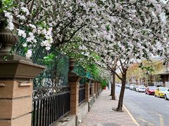 -天津五大道文化旅游区