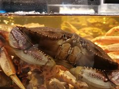 -龙宴海鲜城(经中路店)