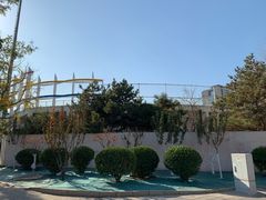 -北京八中游泳馆