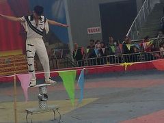 android_upload_pic-石家庄市动物园