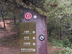 -北山公园